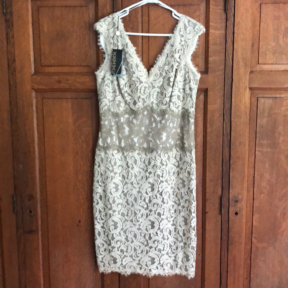 Tadashi Shoji lace dress
